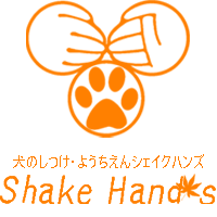 Shake Hand's
